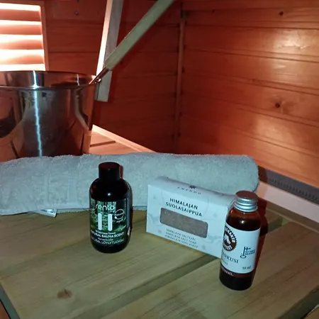 Fresh With Private Sauna In The Center Of Helsinki, Free Park Helsinki